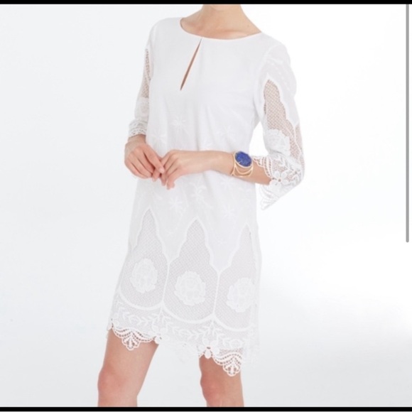 Ann Taylor White Cotton Lace Embroidered Tunic Dress Size Small - Picture 3 of 16
